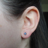 Six Prong Studs: 4mm Iolite
